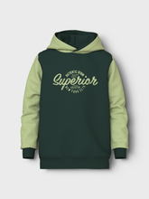 Lade das Bild in den Galerie-Viewer, NKMVEBLOCK Sweatshirts - Pine Grove
