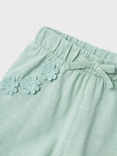 Lade das Bild in den Galerie-Viewer, NBFJEGONA Shorts - Silt Green
