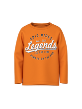 Lade das Bild in den Galerie-Viewer, NMMVAGNO T-Shirts &amp; Tops - Russet Orange
